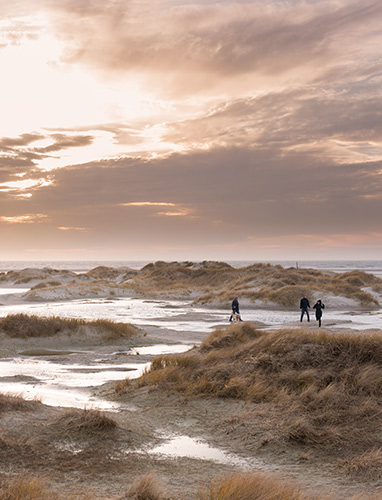 Wattenmeer Zukunftszentrum