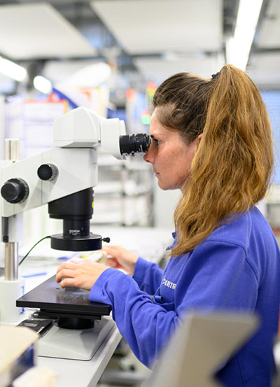 Eine Wissenschaftlerin schaut durchs Mikroskop