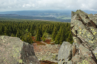 ni_harz Zukunftszentrum