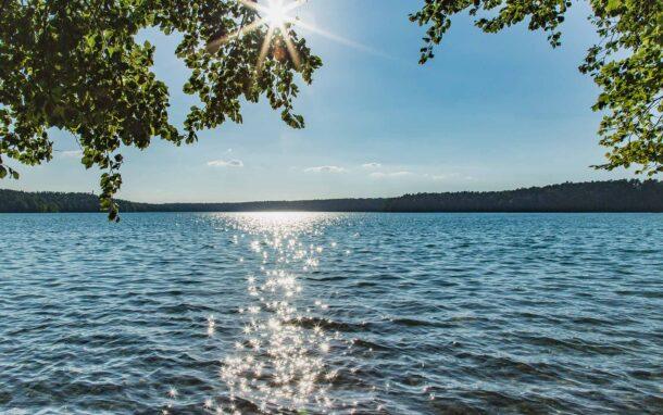 Blick über einen klaren See, auf dem die Sonne glitzernd reflektiert, eingerahmt von grünen Baumästen am Ufer.